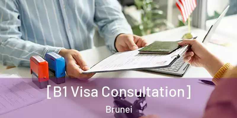  [B1 Visa Consultation] Brunei