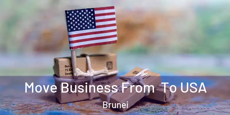  Move Business From To USA Brunei