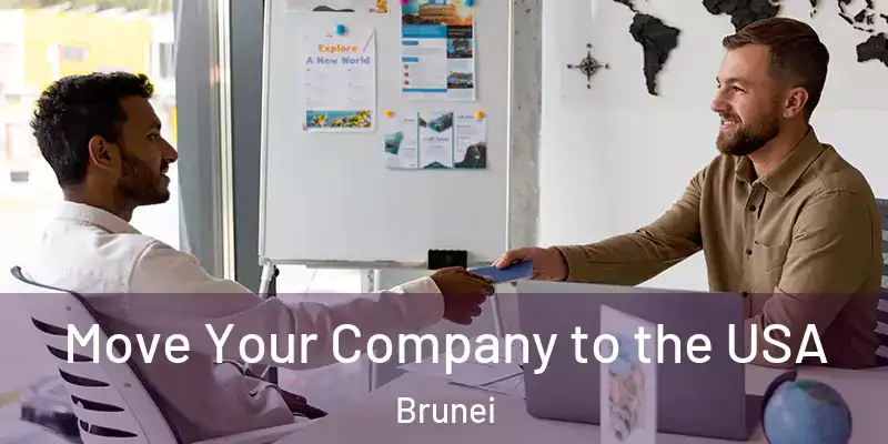 Move Your Company to the USA Brunei