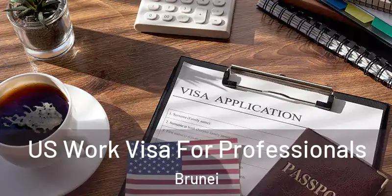 US Work Visa For Professionals Brunei
